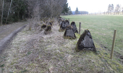 Siegfried Line